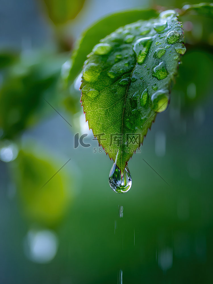 雨滴从绿叶上滑落的瞬间高清摄影大图-千库网