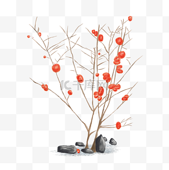 果树图片-果树素材-果树模板图片下载-千库网