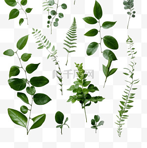 绿色小清新平面植物3素材图片免费下载-千库网