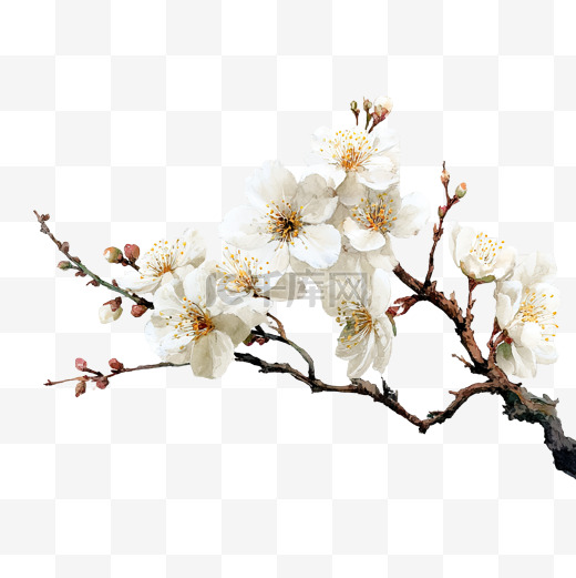 梅花枝头图片-梅花枝头图片素材免费下载-千库网